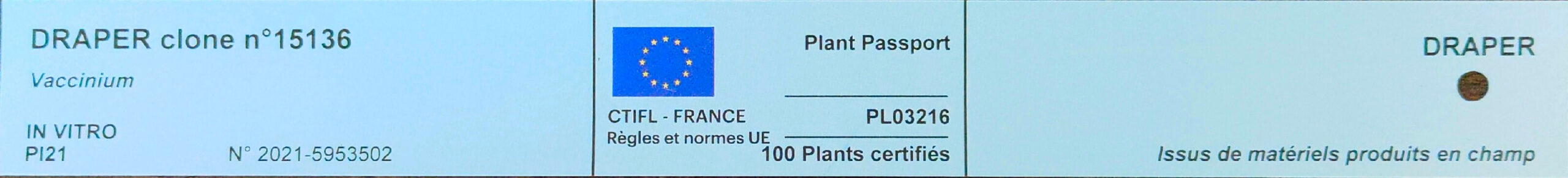 Draper clone n°15136, Vaccinium, In virtro Pl21 N°2021-5953502, Plant Passport PL 03216 100 plants certifiés, CTIFL-France Règles et normes UE, issus de matériels produits en champ